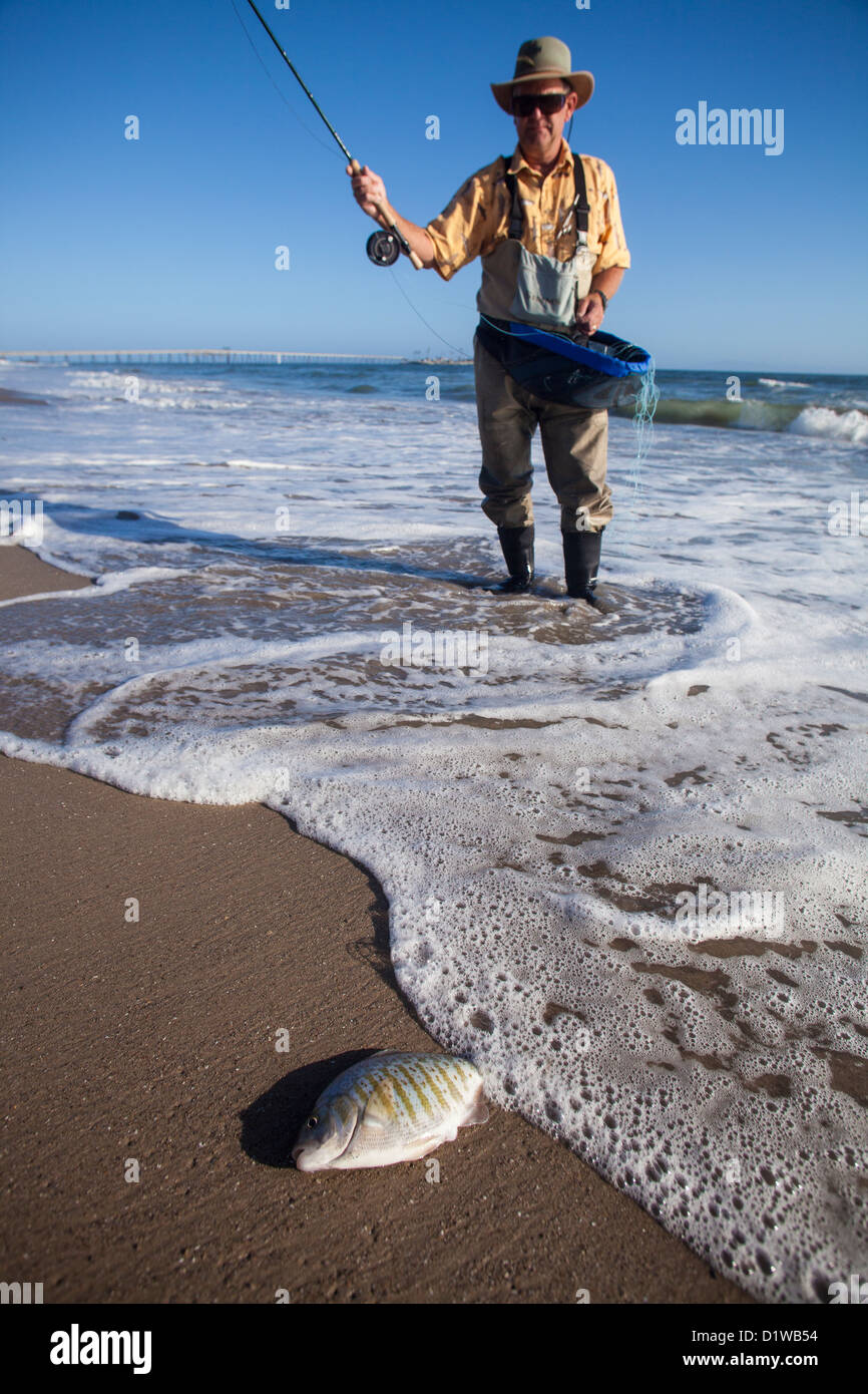 fly fisherman catching surf perch, La Conchita Beach near Stock Photo