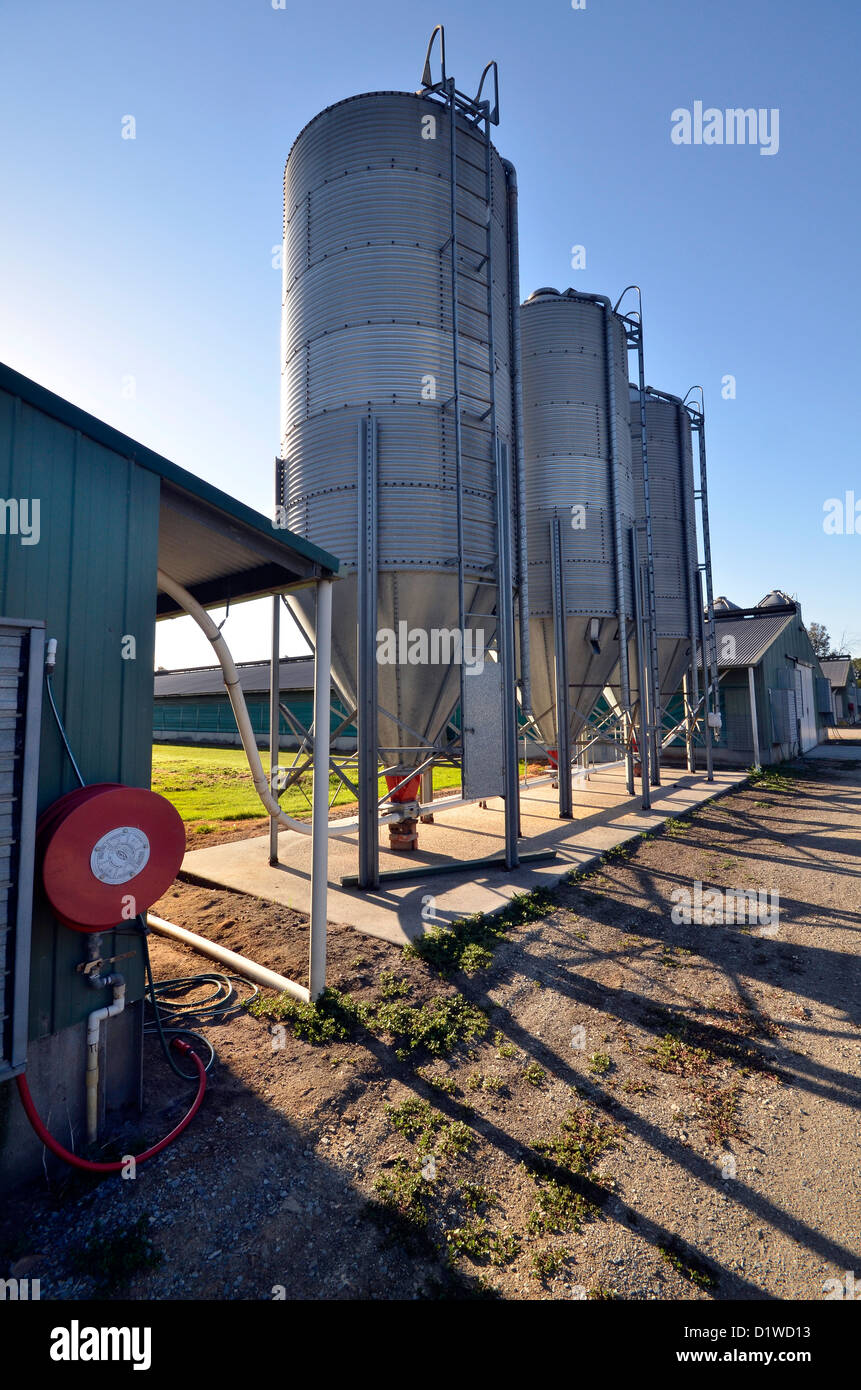 Top 110 + Animal feed companies in south africa