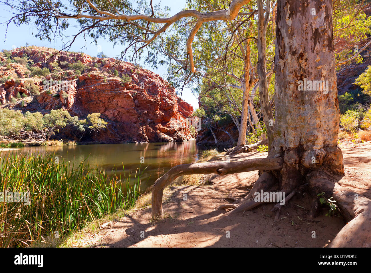 Ellery Creek Big Water Hole Western MacDonnell Ranges Central Australia Stock Photo