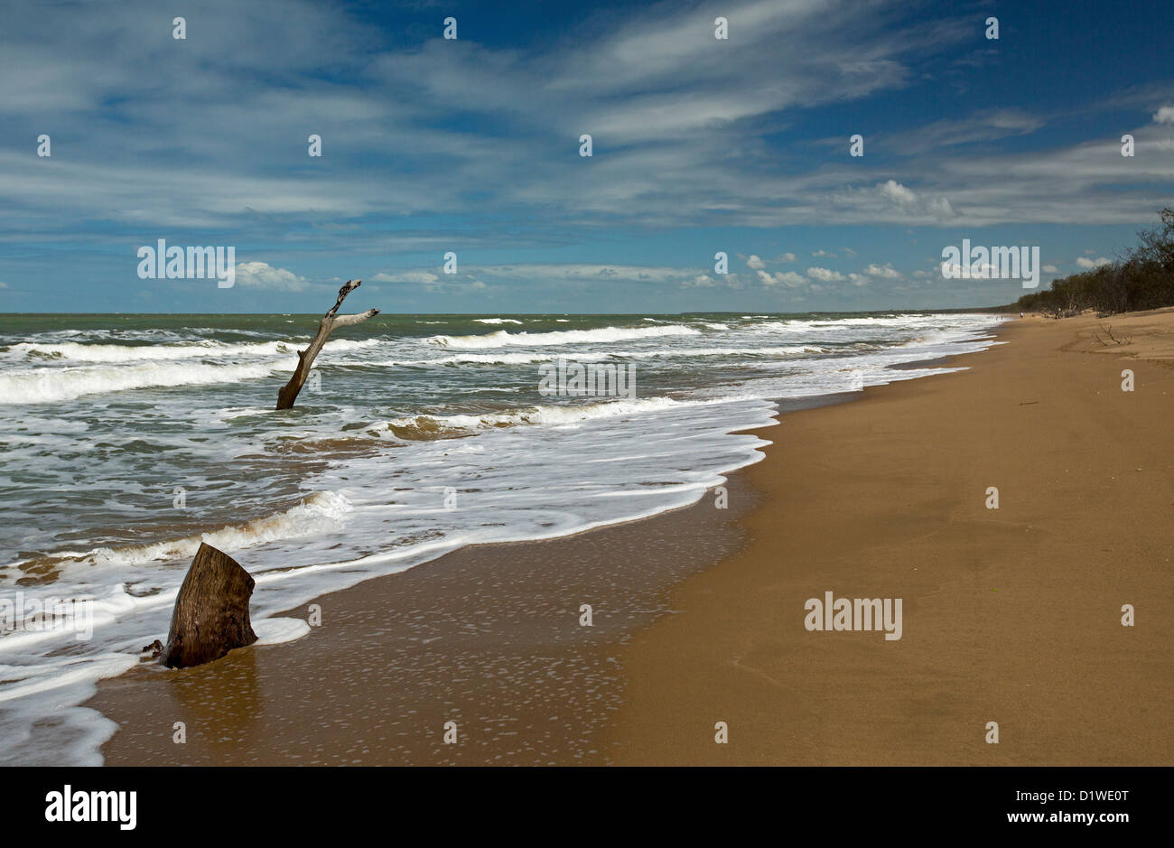 Vast deserted beach with tall dead tree in blue waters of the Pacific Ocean - evidence of rising sea levels and climate change Stock Photo