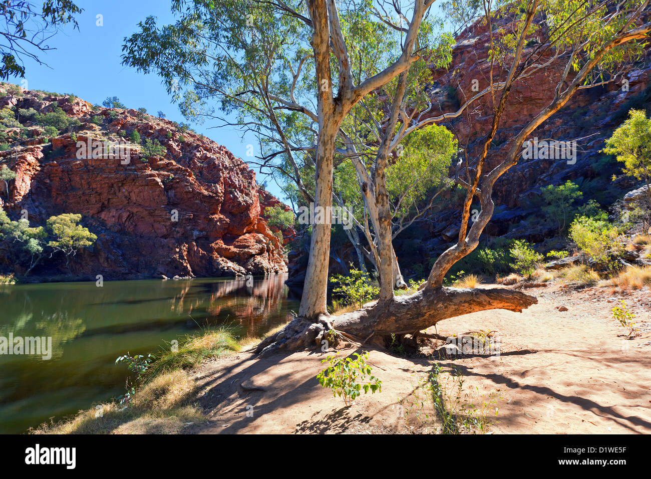 Ellery Creek Big Water Hole Western MacDonnell Ranges Central Stock ...