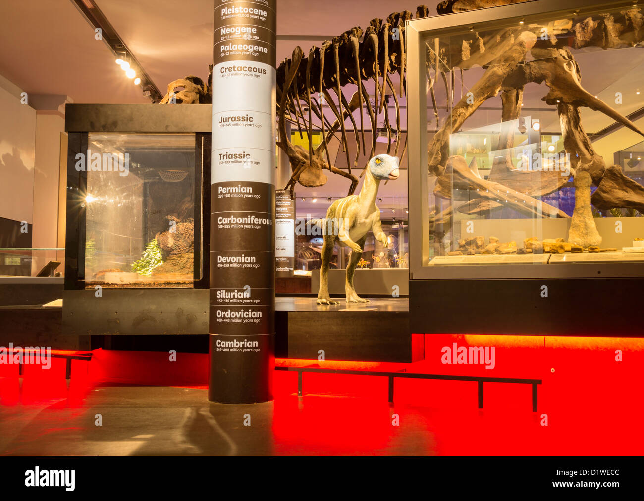 Great North Museum Hancock in Newcastle upon Tyne, England, UK Stock Photo Alamy Great North Museum Hancock in Newcastle upon Tyne, England, UK Stock Photo Alamy