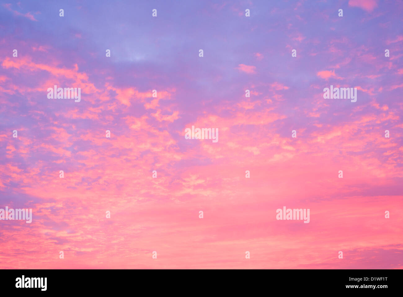 Purple sky winter hi-res stock photography and images - Alamy