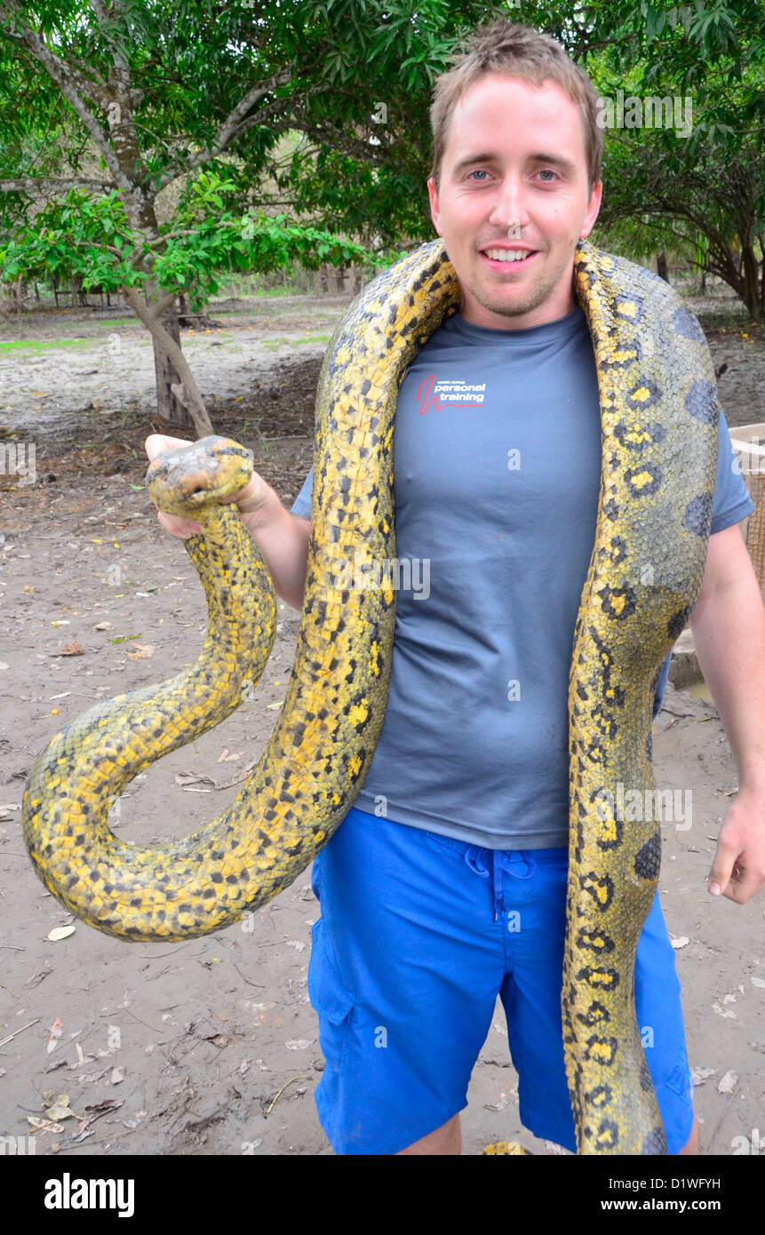 amazon anaconda amazon anaconda