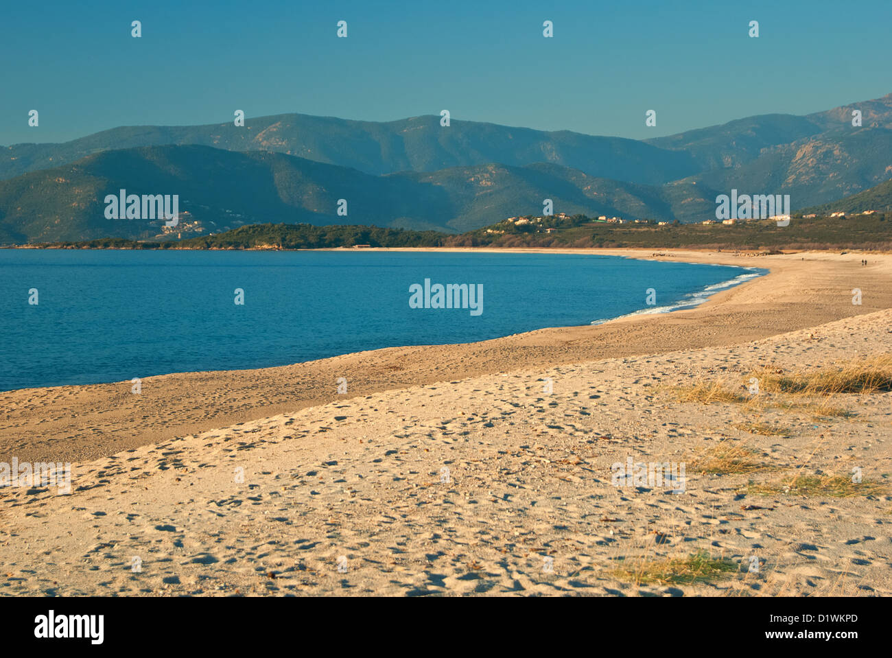 The Liamone sand beach in Corsica, at sunset (located near Sagone, at the north of Ajaccio) Stock Photo