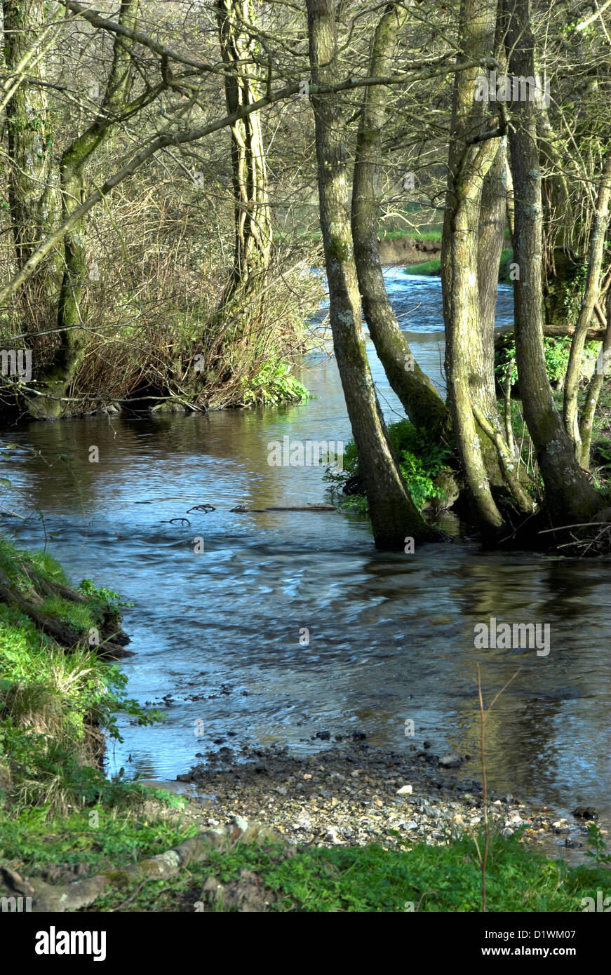 A view of the river Hooke at Dorset UK Stock Photo Alamy