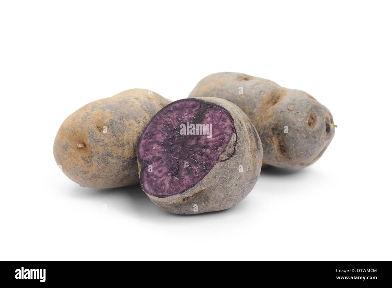 Blue Potato, variety Purple Majesty Stock Photo