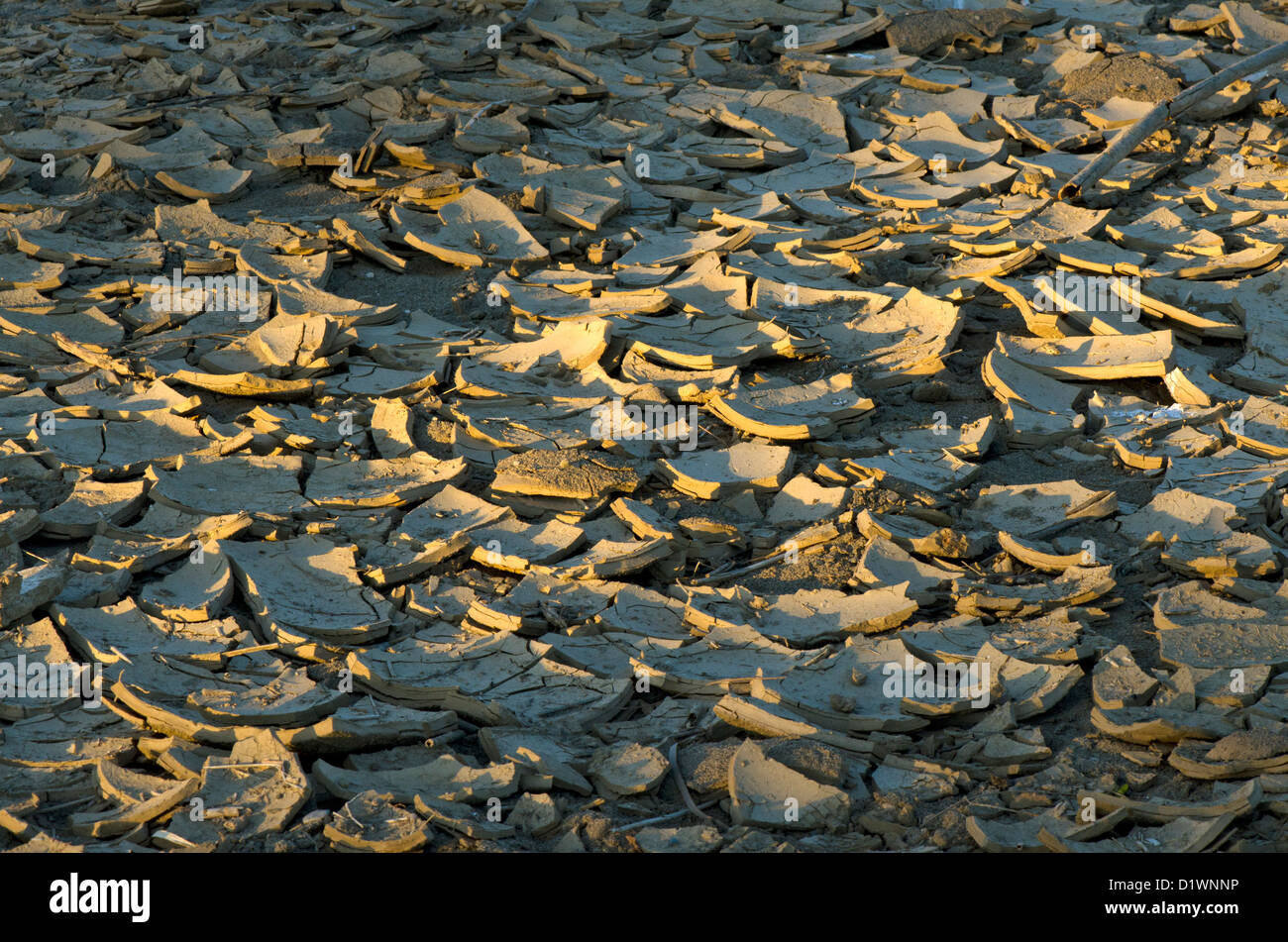 Cracked dry earth, drought on the ground, Spain Stock Photo