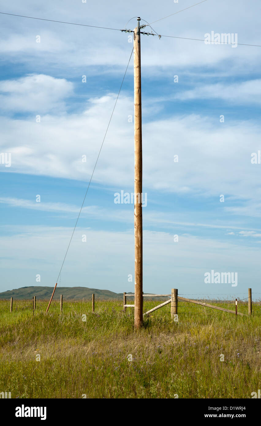 Telephone pole by an empty field in rural farmland Stock Photo - Alamy
