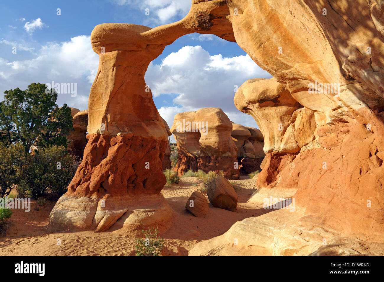 Devils garden grand staircase sales