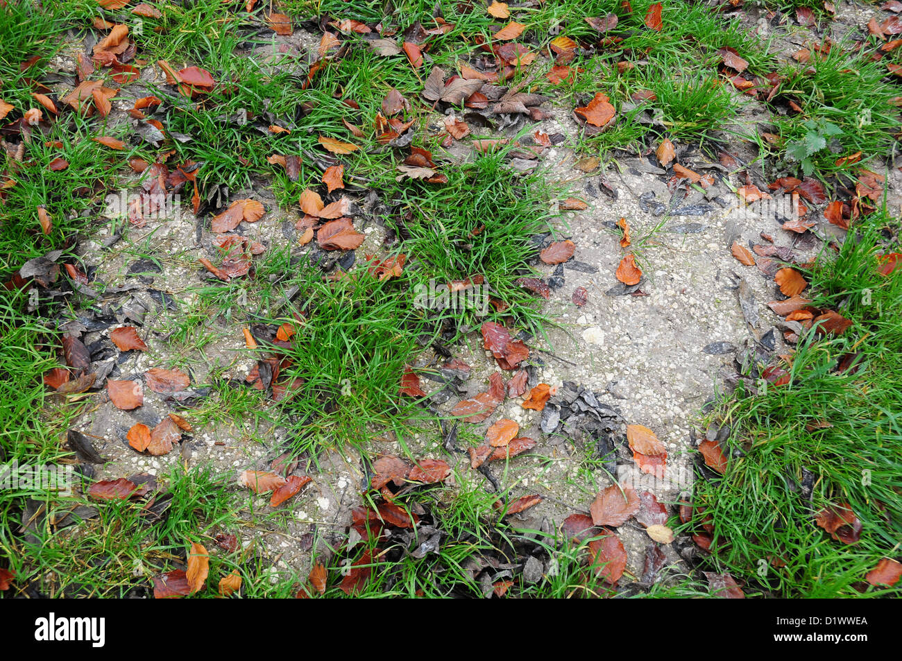 Chalk Soil High Resolution Stock Photography and Images Alamy