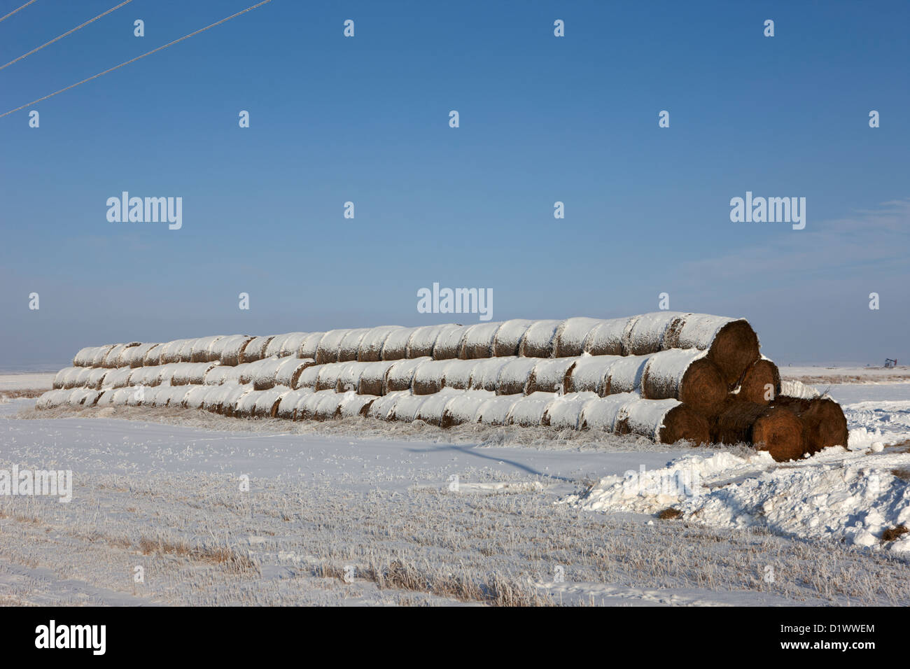 stack of frozen snow covered hay bales in a field Forget Saskatchewan Canada Stock Photo