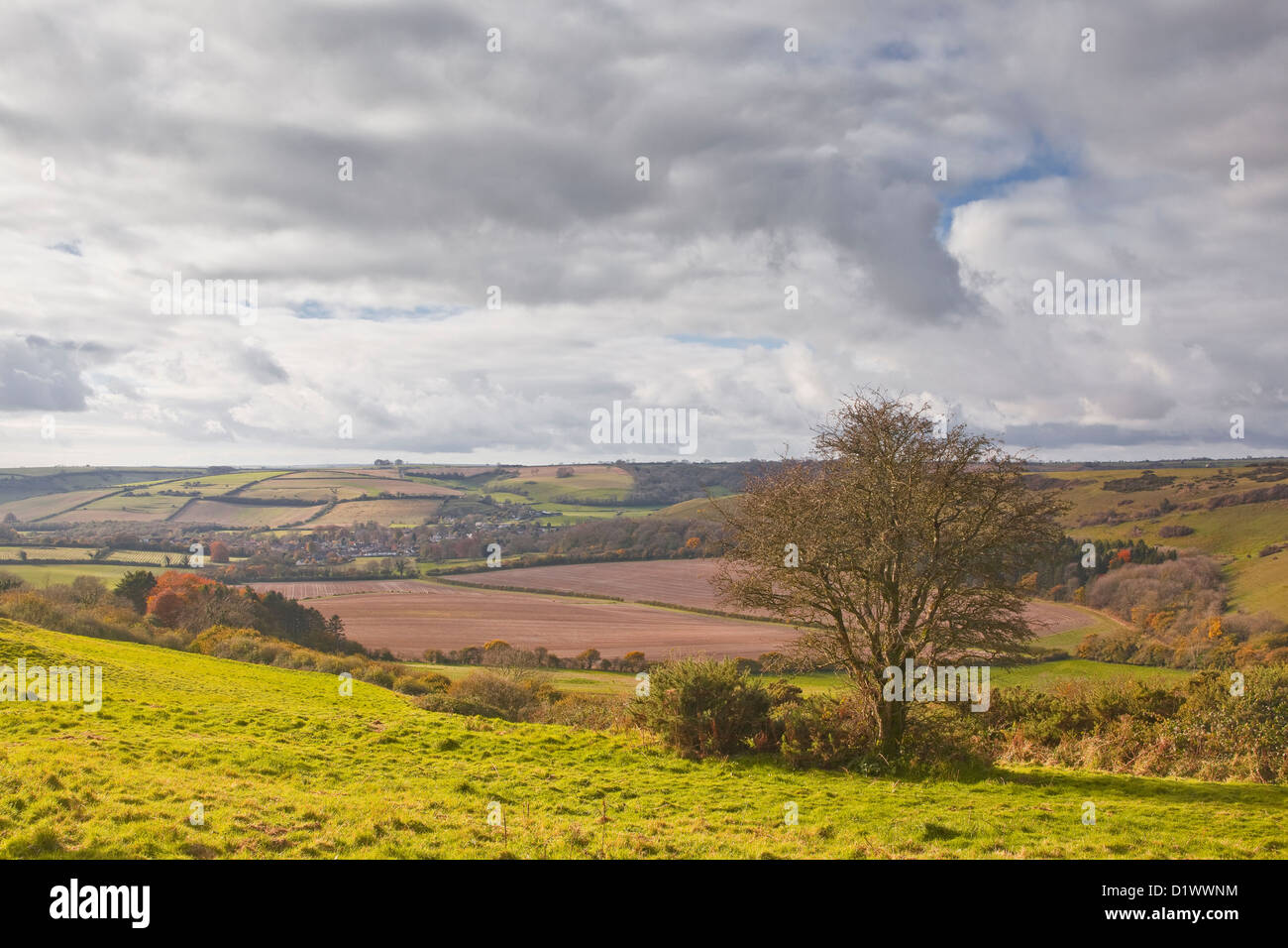 The Dorset countryside near to Cerne Abbas. Stock Photo