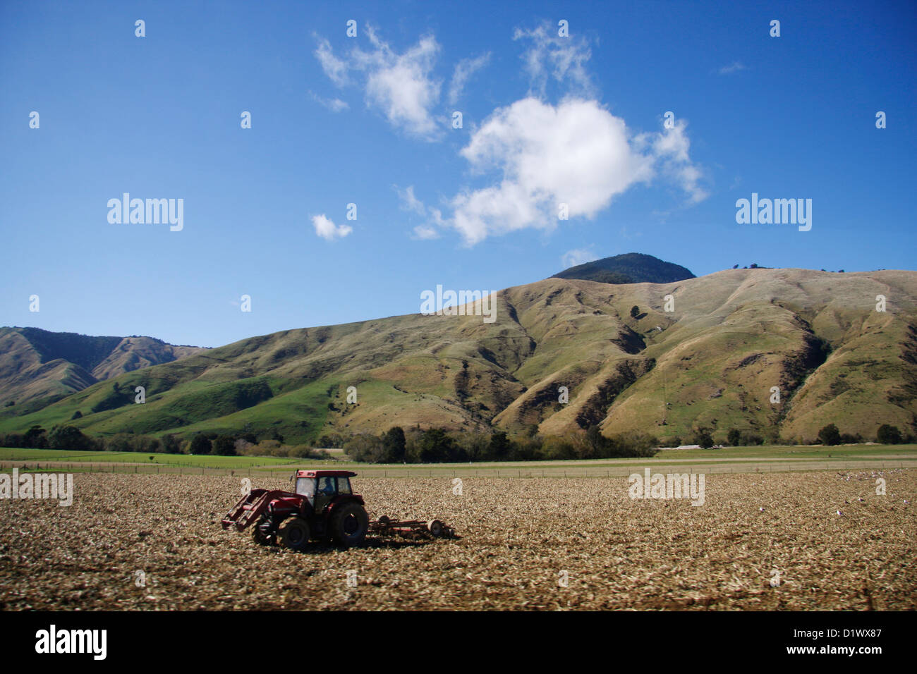 Farm land around Nelson Stock Photo Alamy