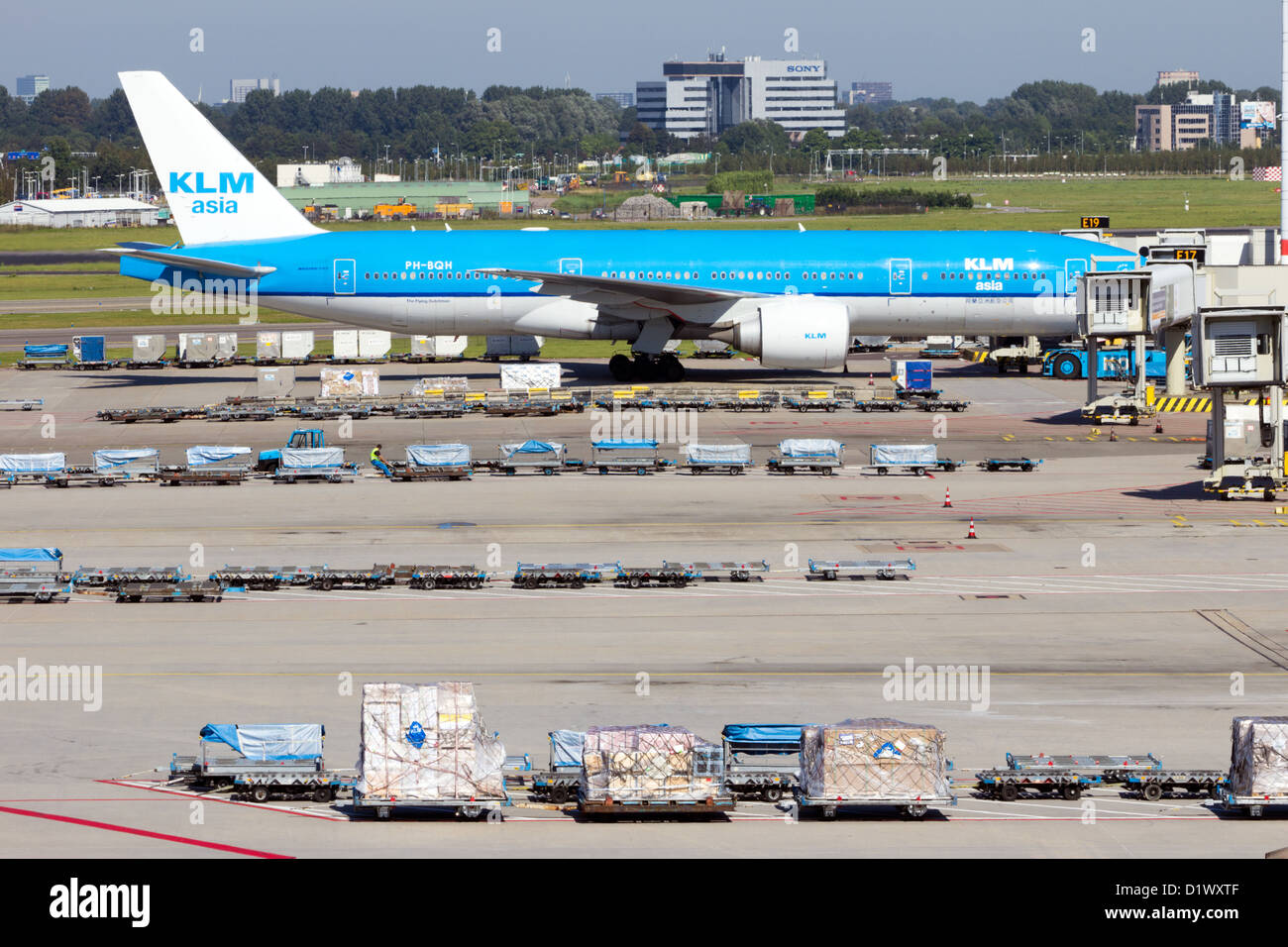 Dutch KLM aircraft and cargo at AmsterdamSchiphol airport Stock Photo