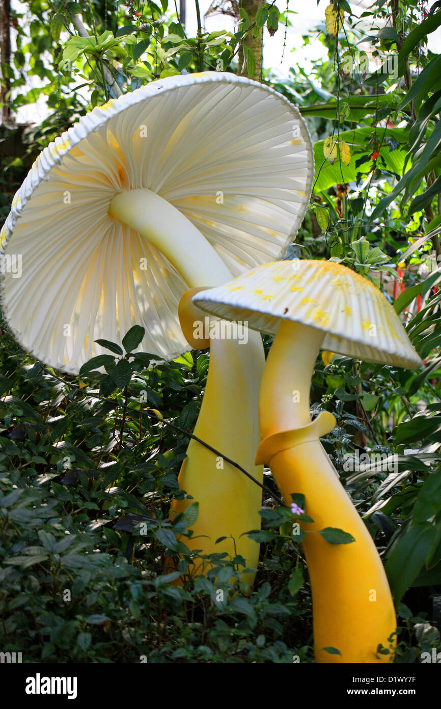 Giant mushroom sculptures emma garofalo hi-res stock photography and images  - Alamy