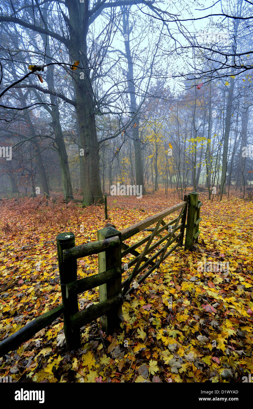 Gate woodland hi-res stock photography and images - Alamy