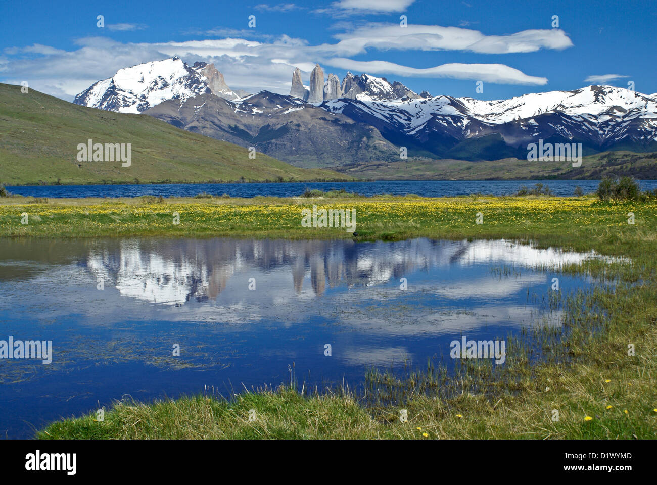 Laguna Azul, Torres del Paine National Park, Patagonia, Chile Stock