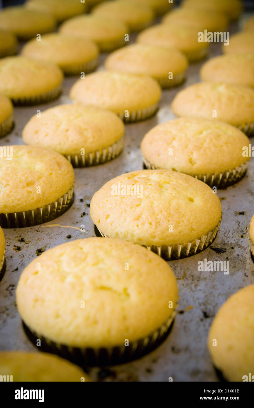 Freshly Baked Buns in Bakery Stock Photo Alamy