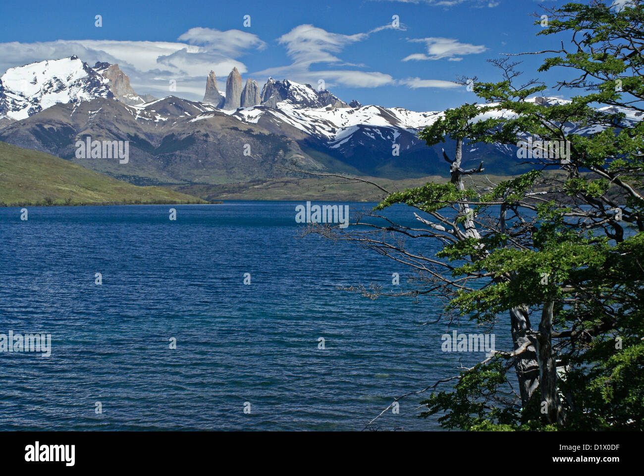 Laguna Azul and Los Torres, Torres del Paine NP, Patagonia, Chile Stock