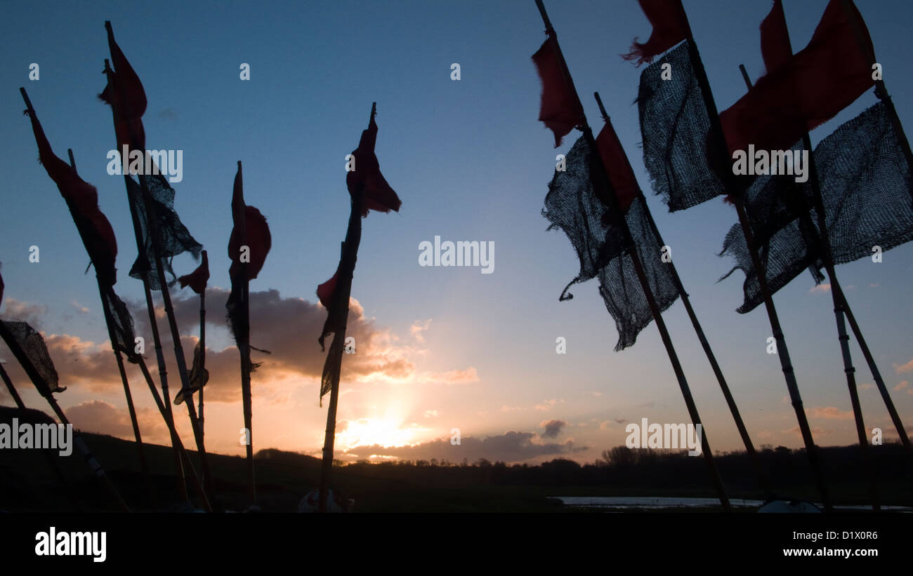 Crab silhouette hi-res stock photography and images - Alamy