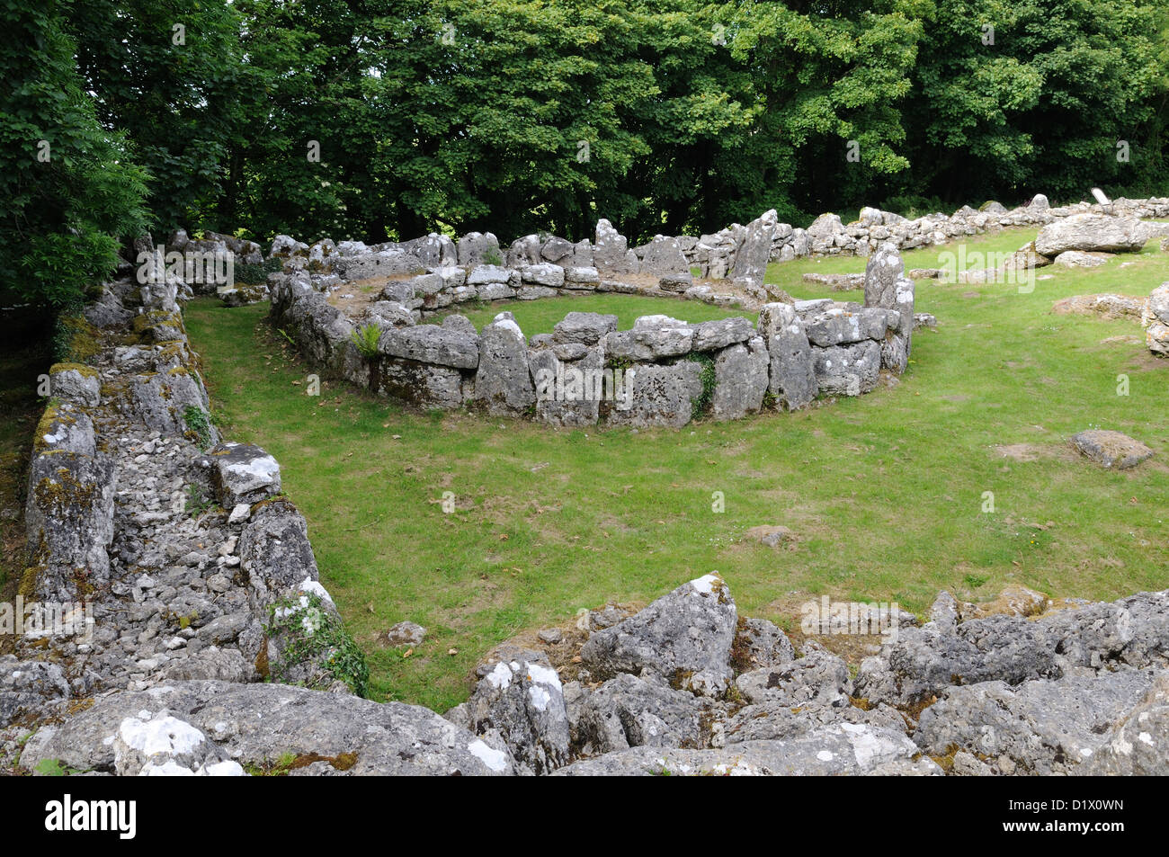 Din Lligwy round and rectangular huts Ancient Village Settlement Moelfre Amglesey Wales Cymru UK GB Stock Photo