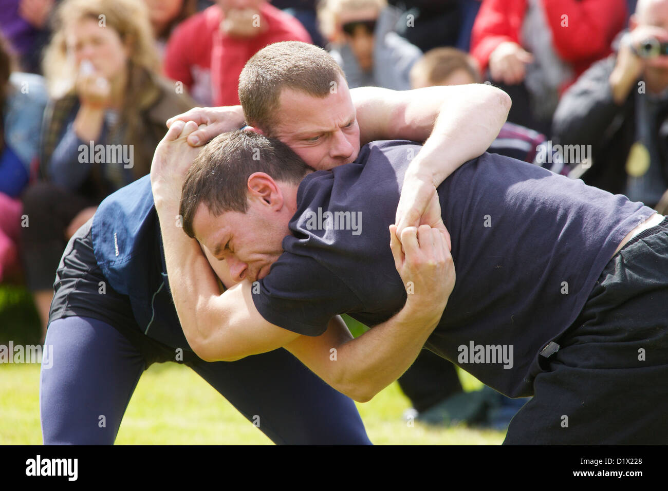 Cumberland & Westmorland Wrestlers in clinch, with crowd behind at Grasmere Lakeland Sports,Lake District National Park,Cumbria, Stock Photo