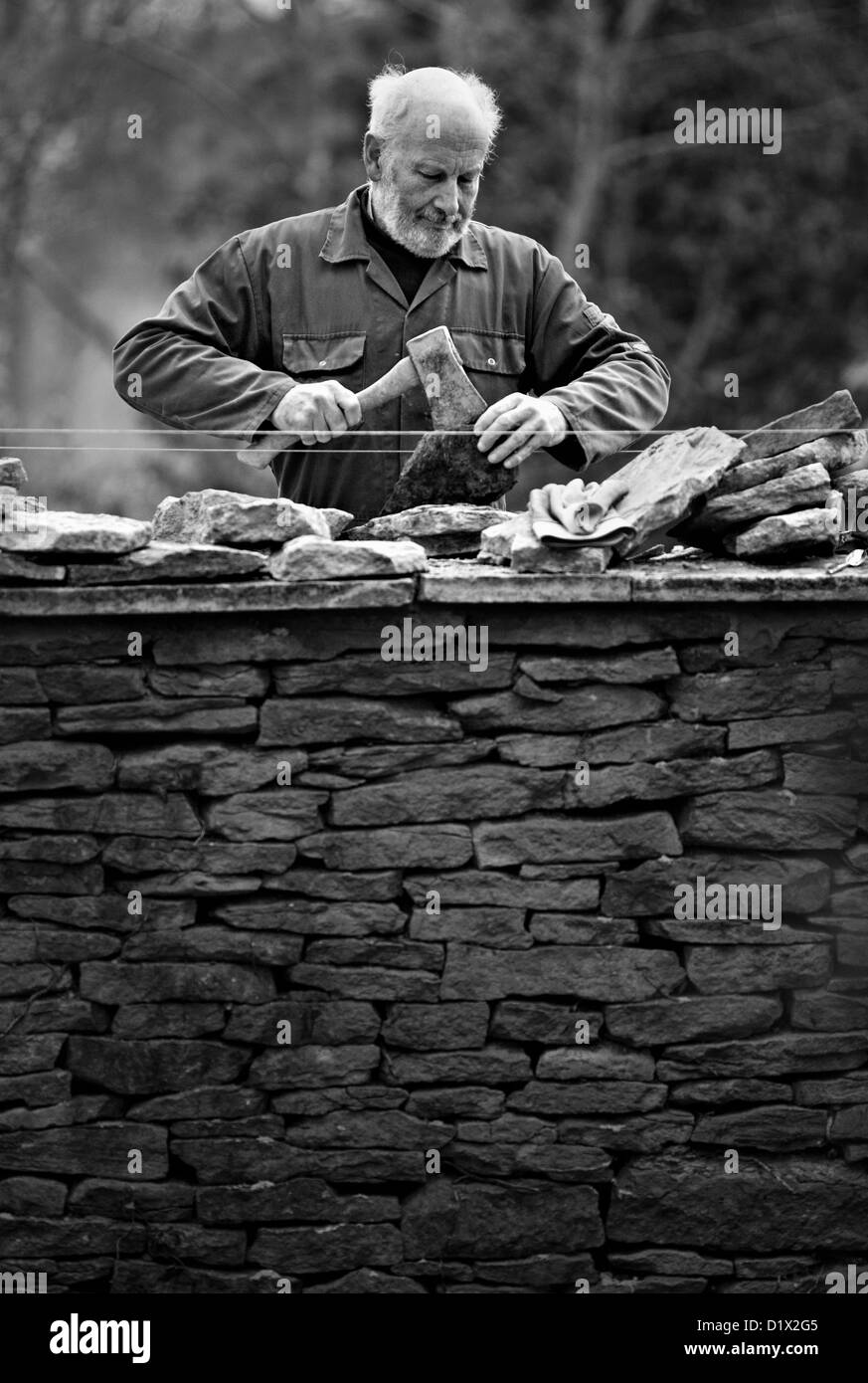 Stonemasons at work building a cotswold dry wall Stock Photo