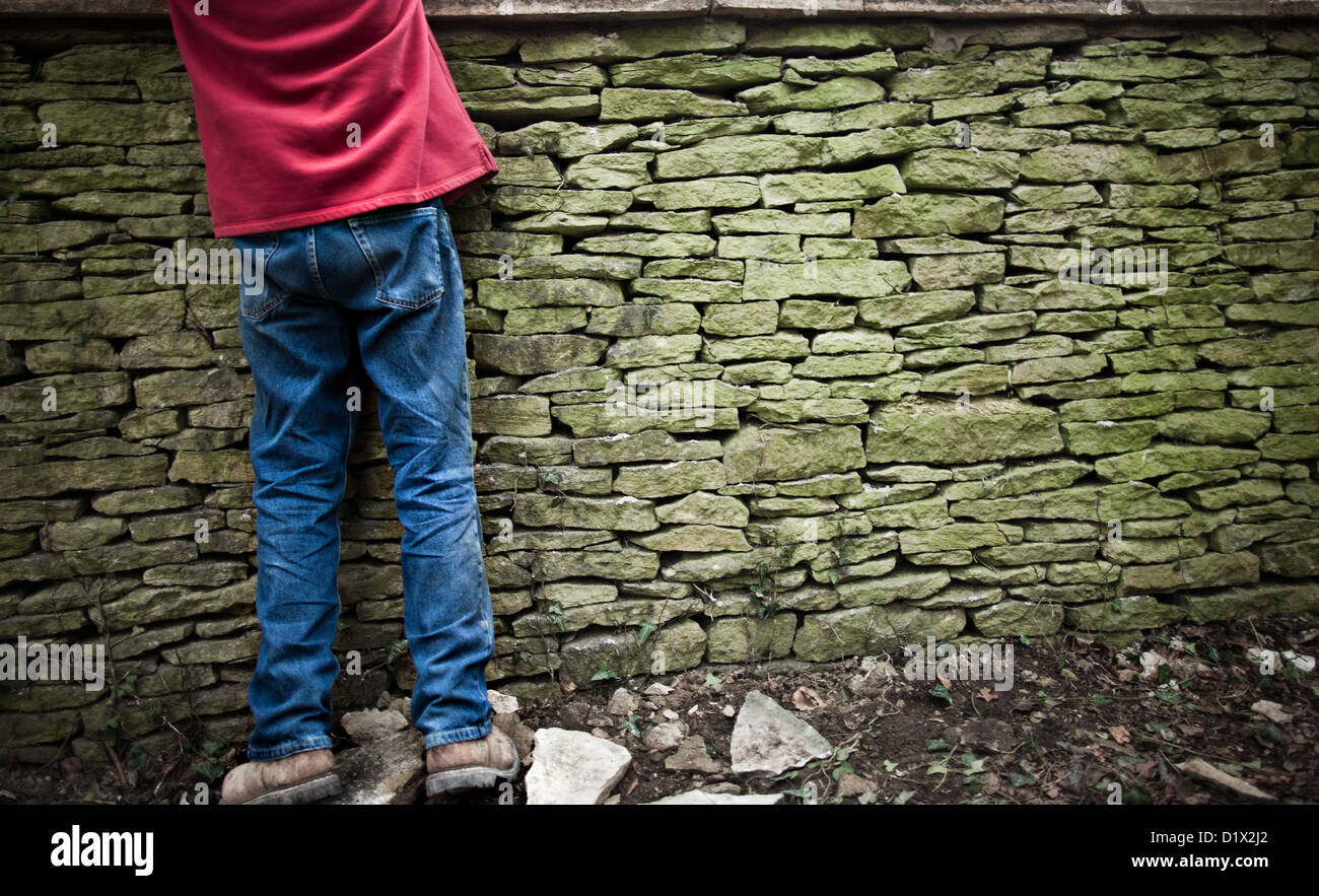stonemasons at work building a Cotswolds dry stone wall Stock Photo