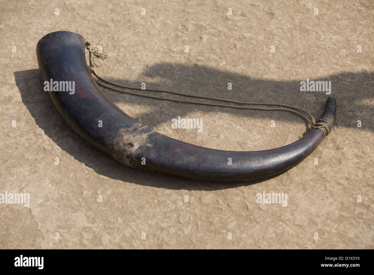 Tutari is a buglelike instrument. Made of bullock horn. Musical