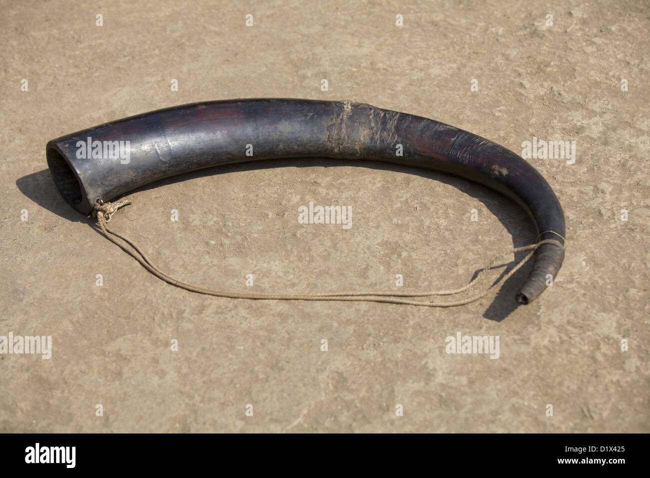 Tutari is a buglelike instrument. Made of bullock horn. Musical