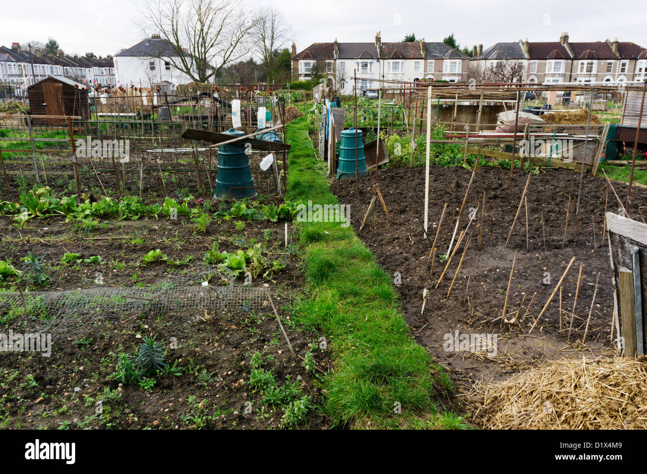Hazelbank Allotments in the middle of housing in south London. Stock Photo