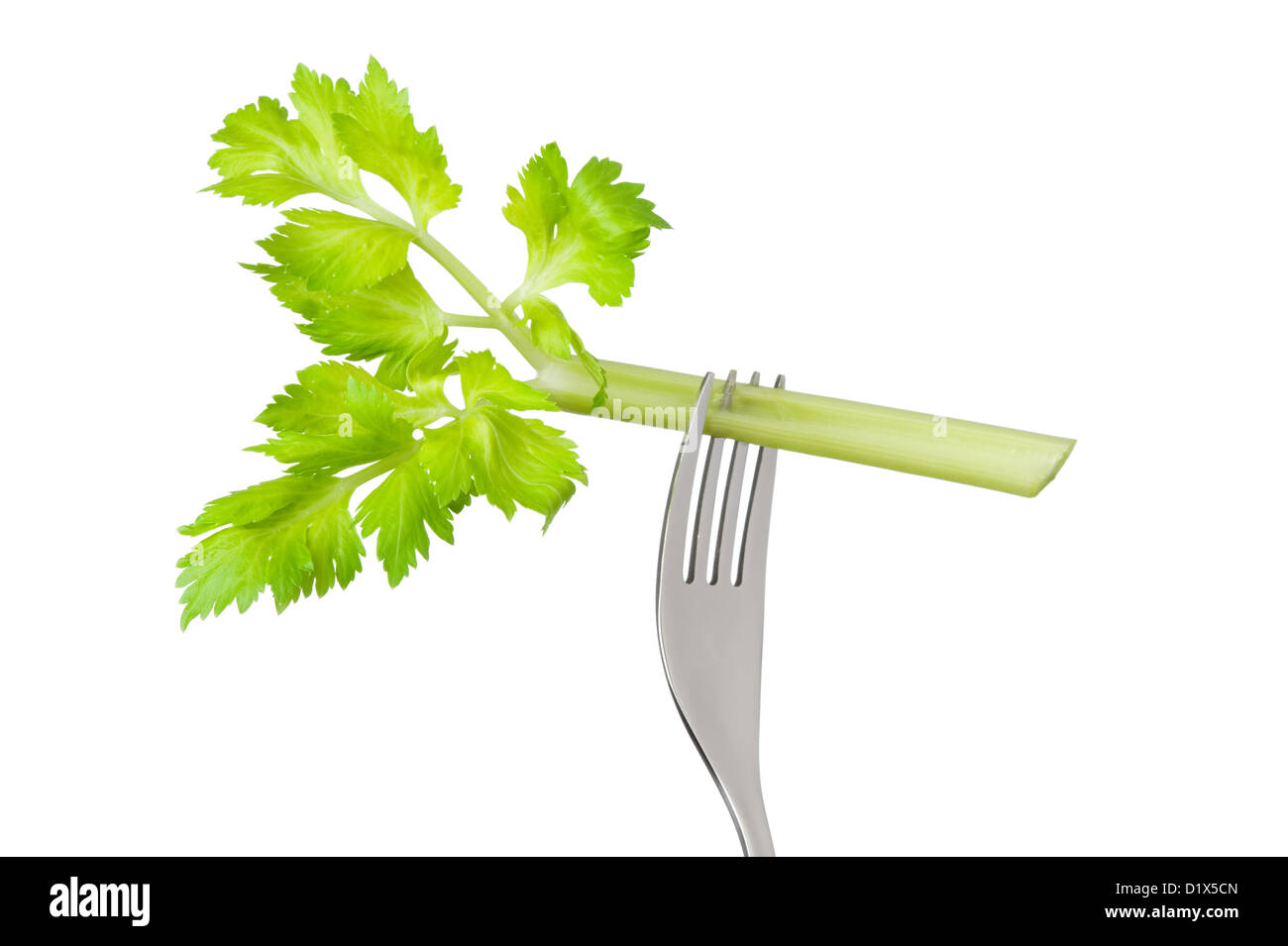 fresh celery stick or stalk on a fork isolated against a white background Stock Photo