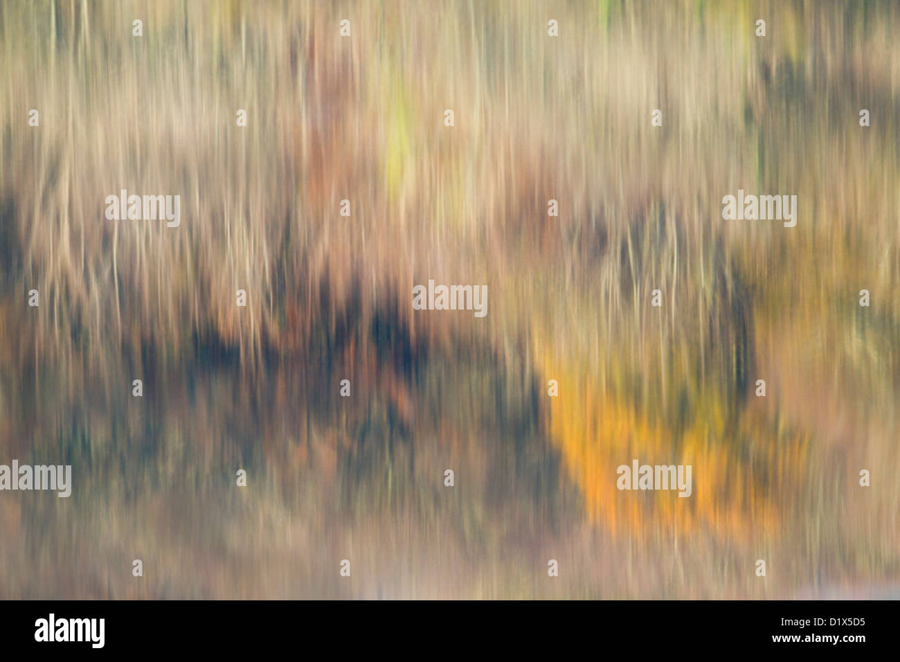 Trees reflected in water hi-res stock photography and images - Alamy