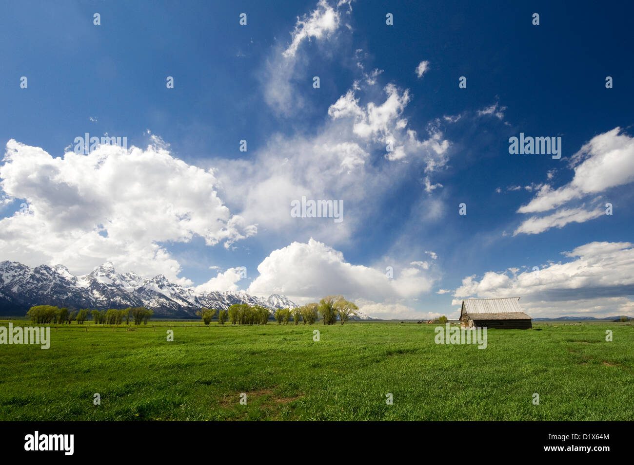 An old barn in Mormon Row in Grand Teton National Park with dramatic clouds, Wyoming. Stock Photo