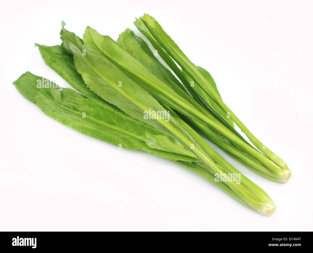 Eryngium foetidum or long coriander leaves Stock Photo Alamy