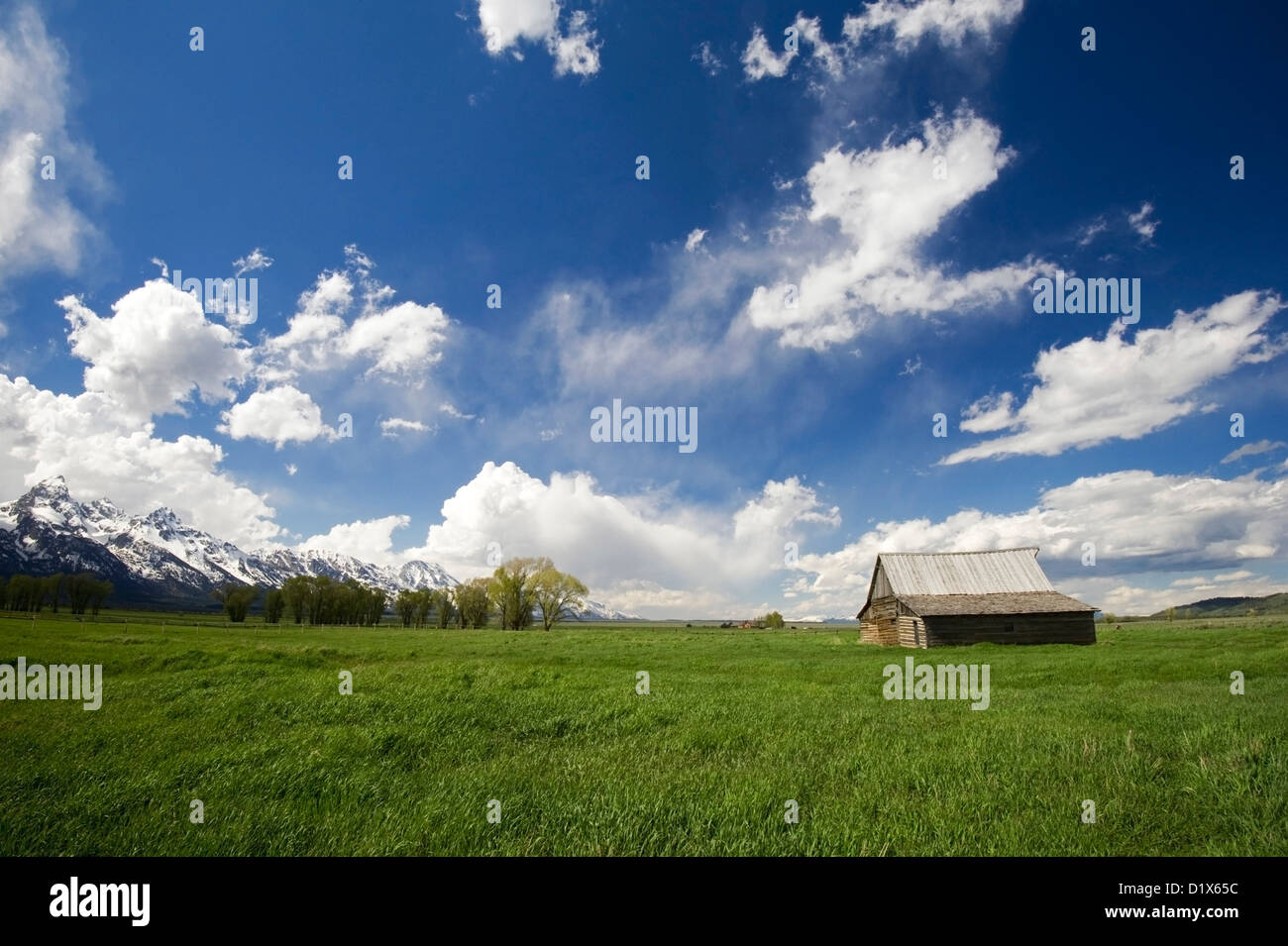 An old barn in Mormon Row in Grand Teton National Park with dramatic clouds, Wyoming. Stock Photo