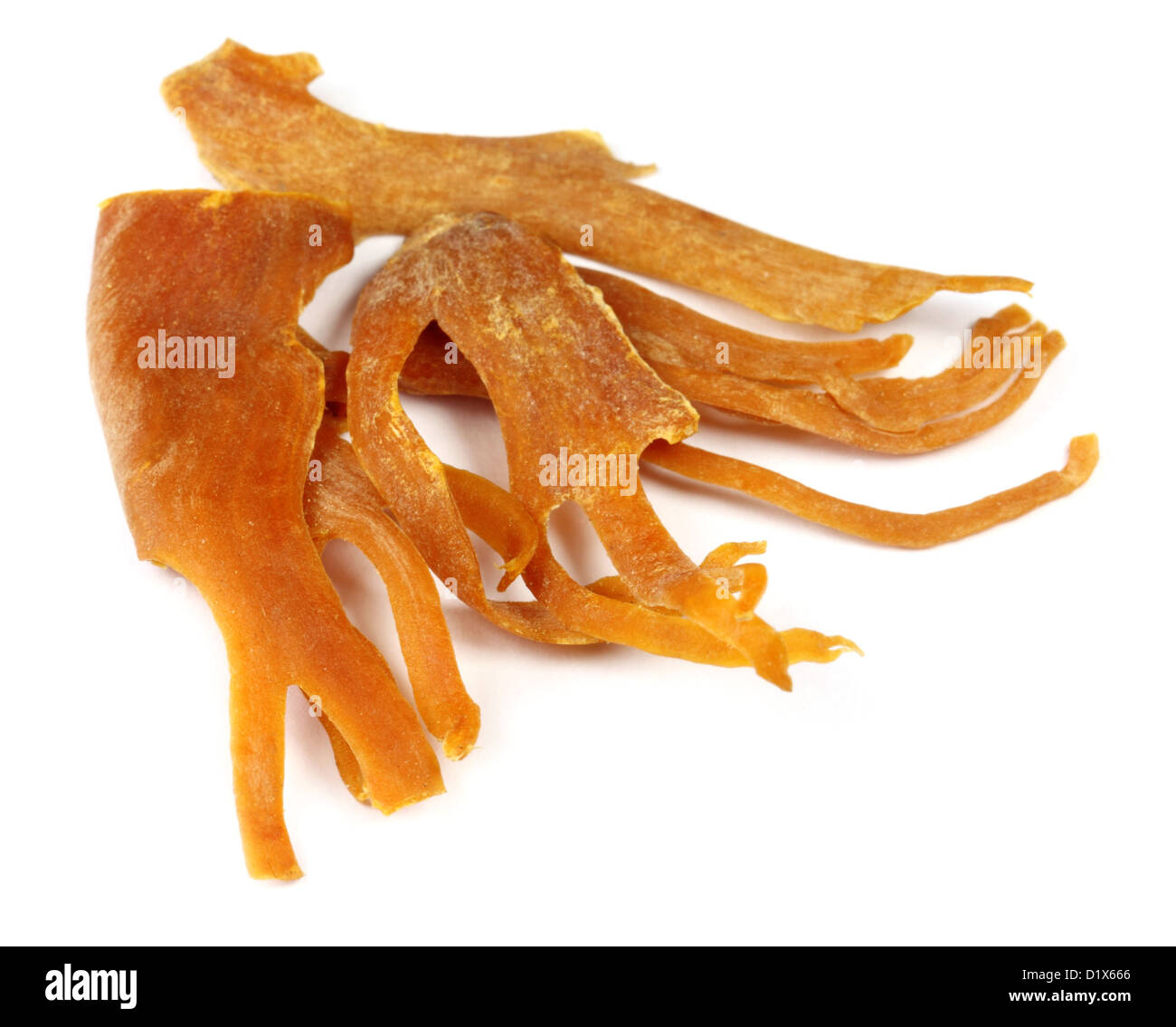 Mace or Javitri Spice Stock Photo Alamy
