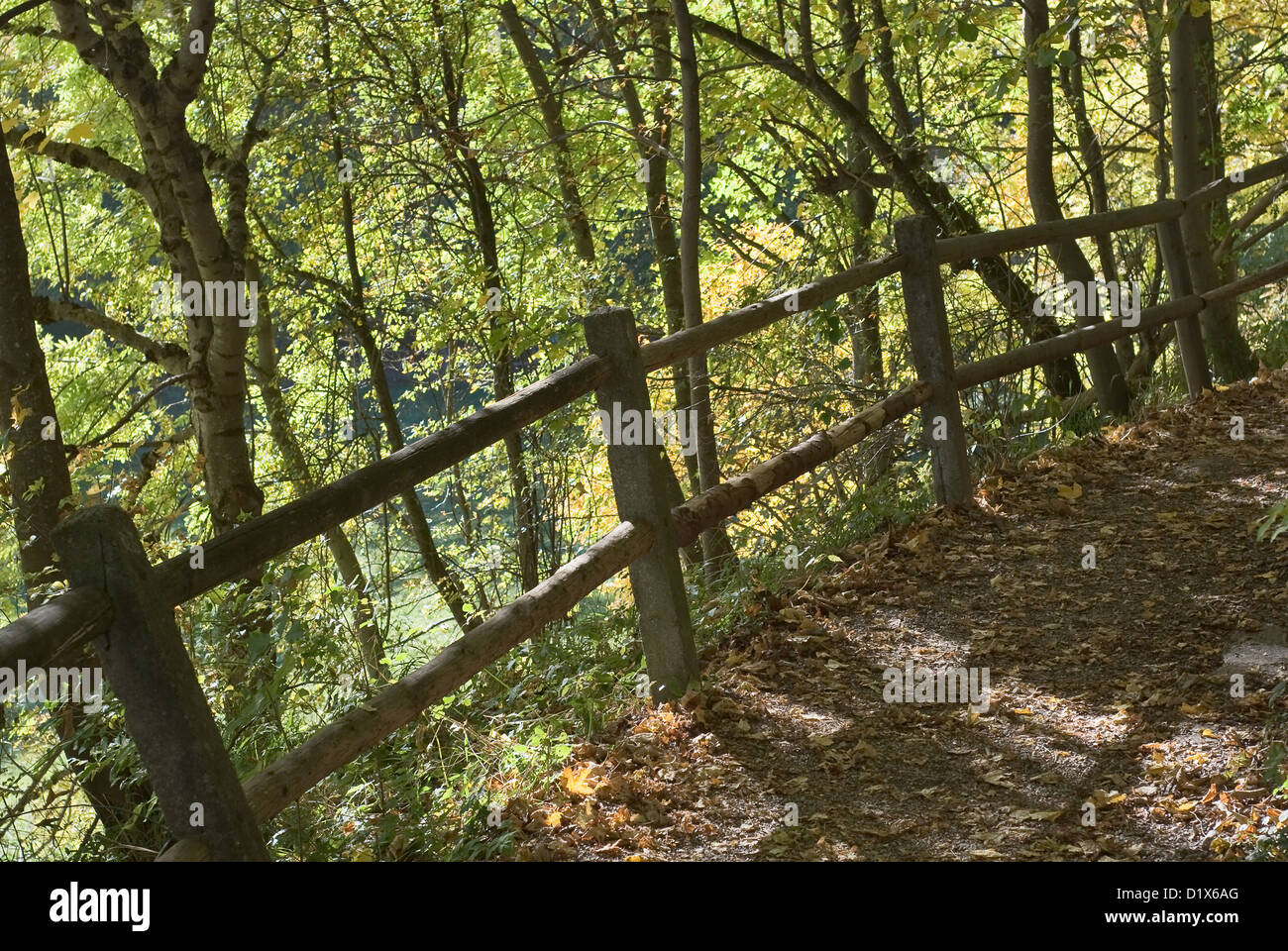 Shady Trail with Wooden Fence in Autumn Stock Photo