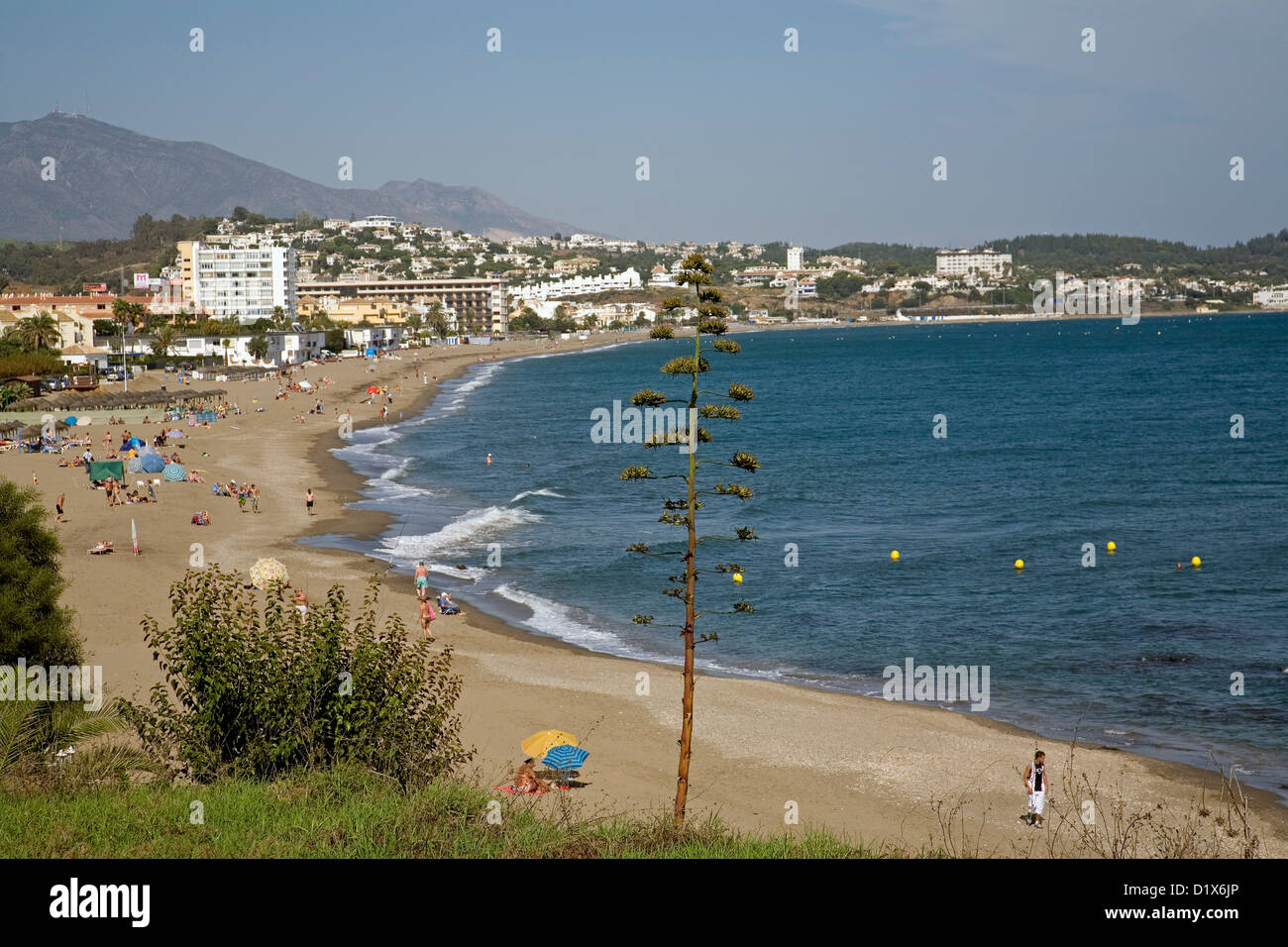A closer look at In Mijas Costa Malaga