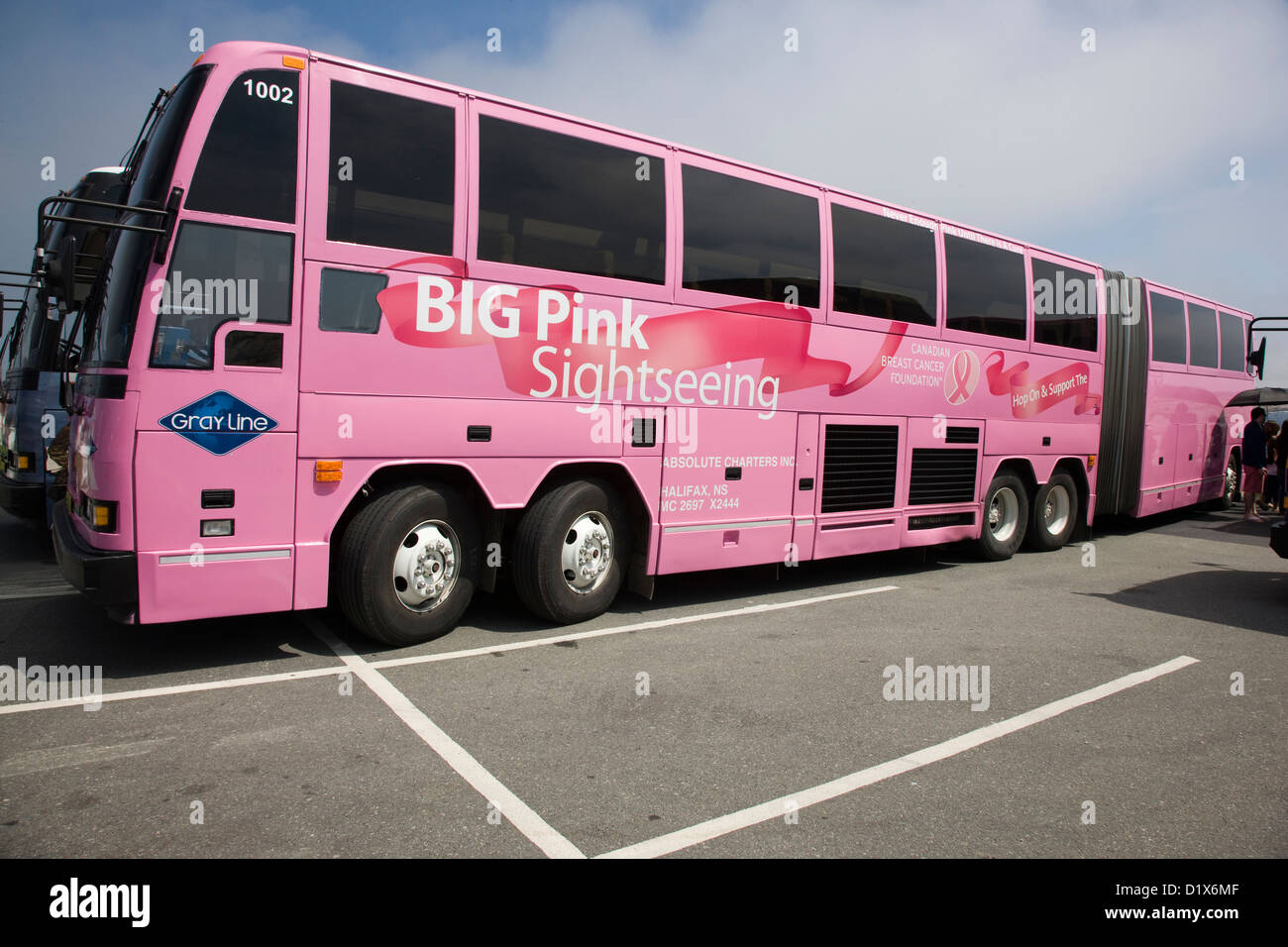 Big pink bus hi-res stock photography and images - Alamy