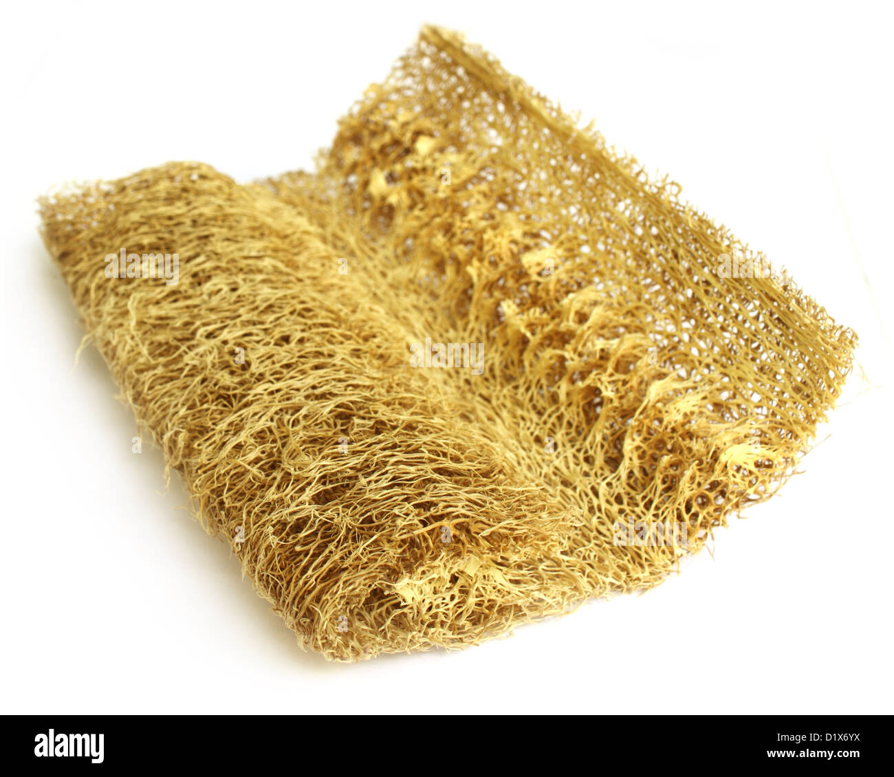 Natural scrubber of dried Ridge gourd Stock Photo Alamy