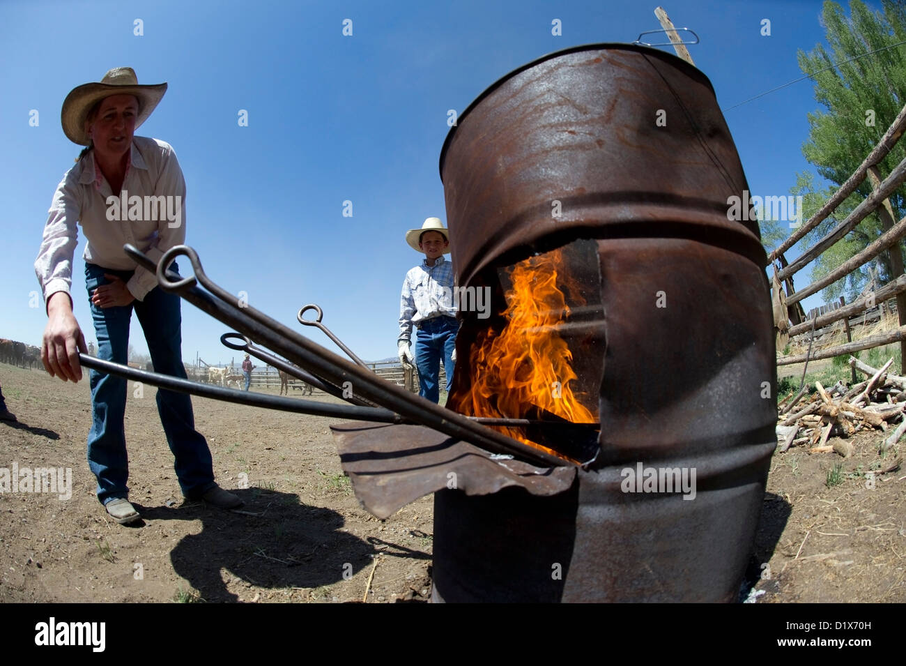 A woman stokes branding irons in the fire during a branding at the Ninety Six Ranch in Paradise Valley, NV Stock Photo