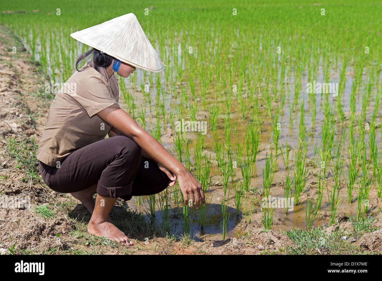 Provincial farm food hi-res stock photography and images - Alamy