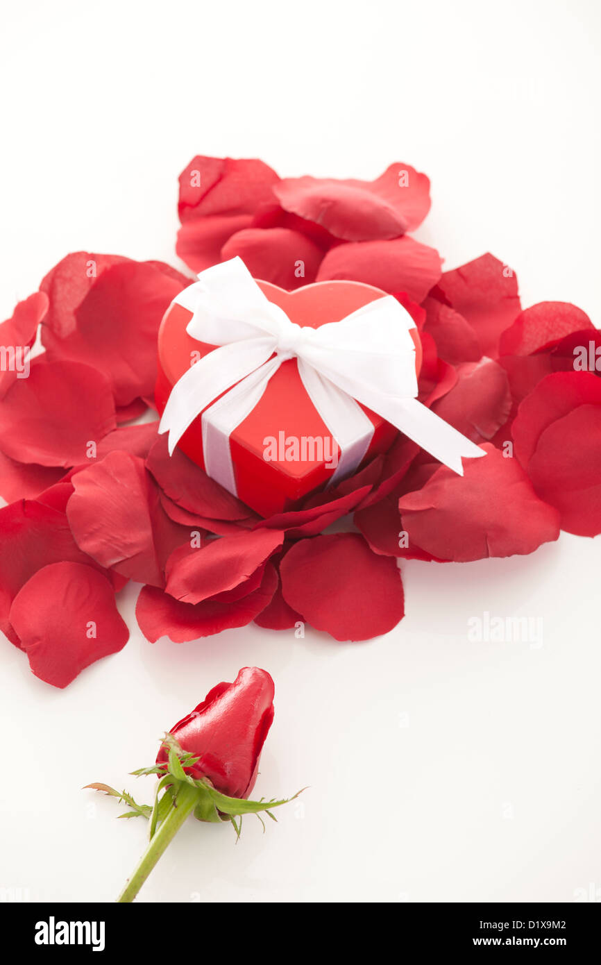 Mothers Day Valentines Day Single Red Rose in Black gift box main image 1