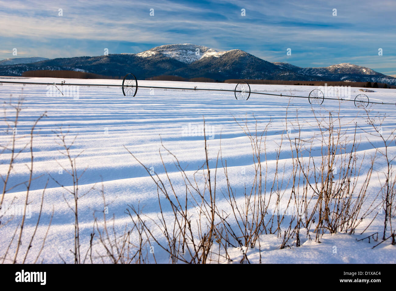 A snow covered farm field with an irrigation pipe and wheels on the Rathdrum Prairie in northern Idaho. Stock Photo