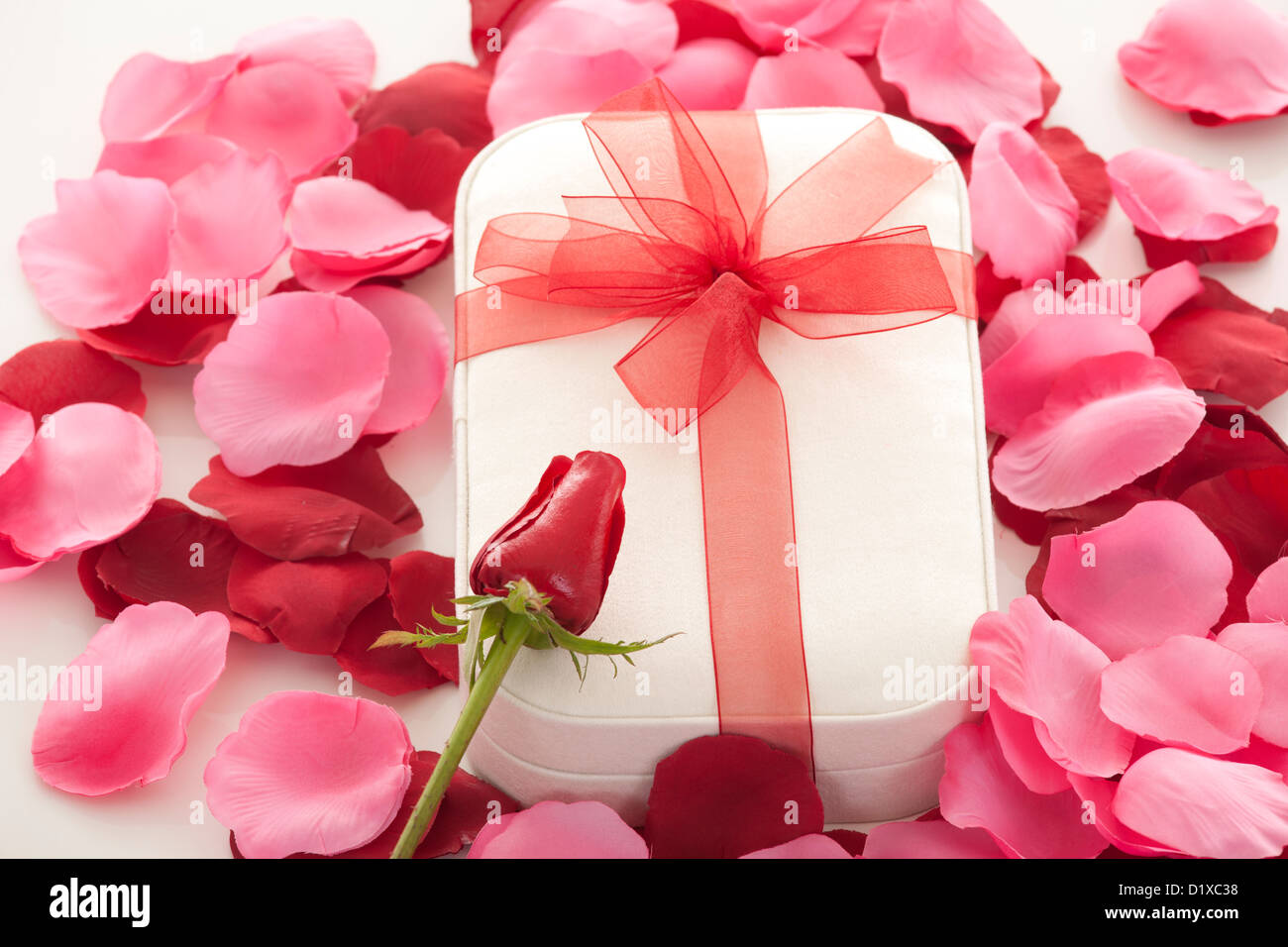 Valentines Day gift in red box with rose petal isolated on white Stock ...