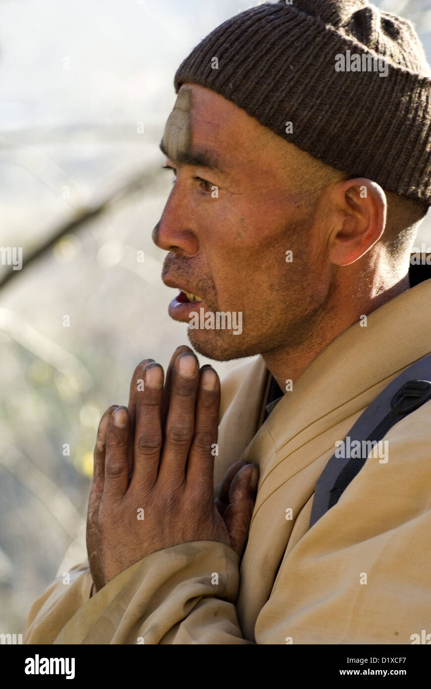 Buddhist pilgrim, Pusading Temple, Wutaishan, Shanxi Province, China Stock Photo