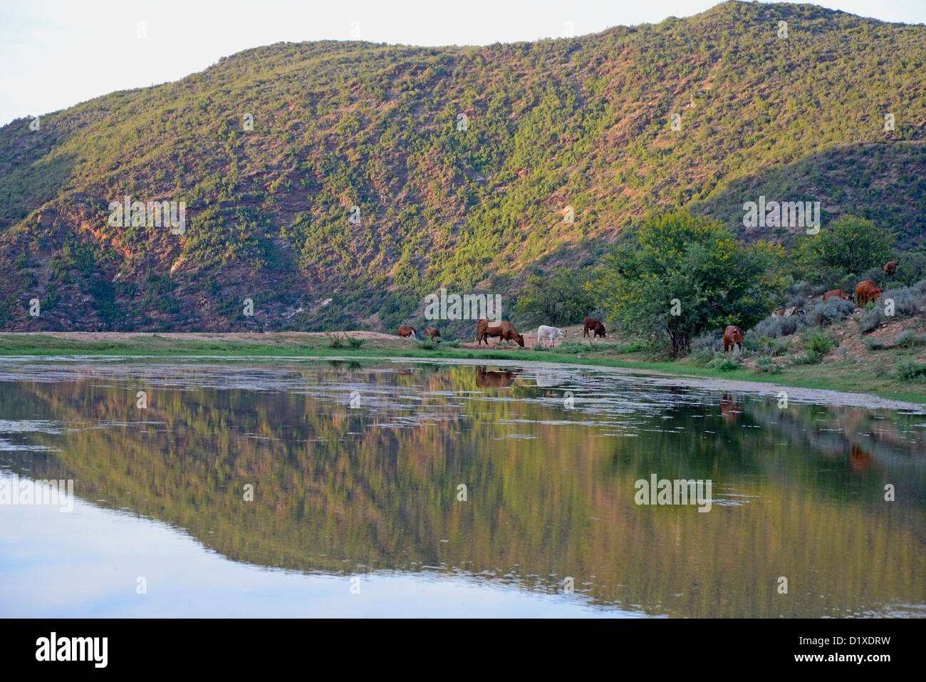 Farm dam hires stock photography and images Alamy