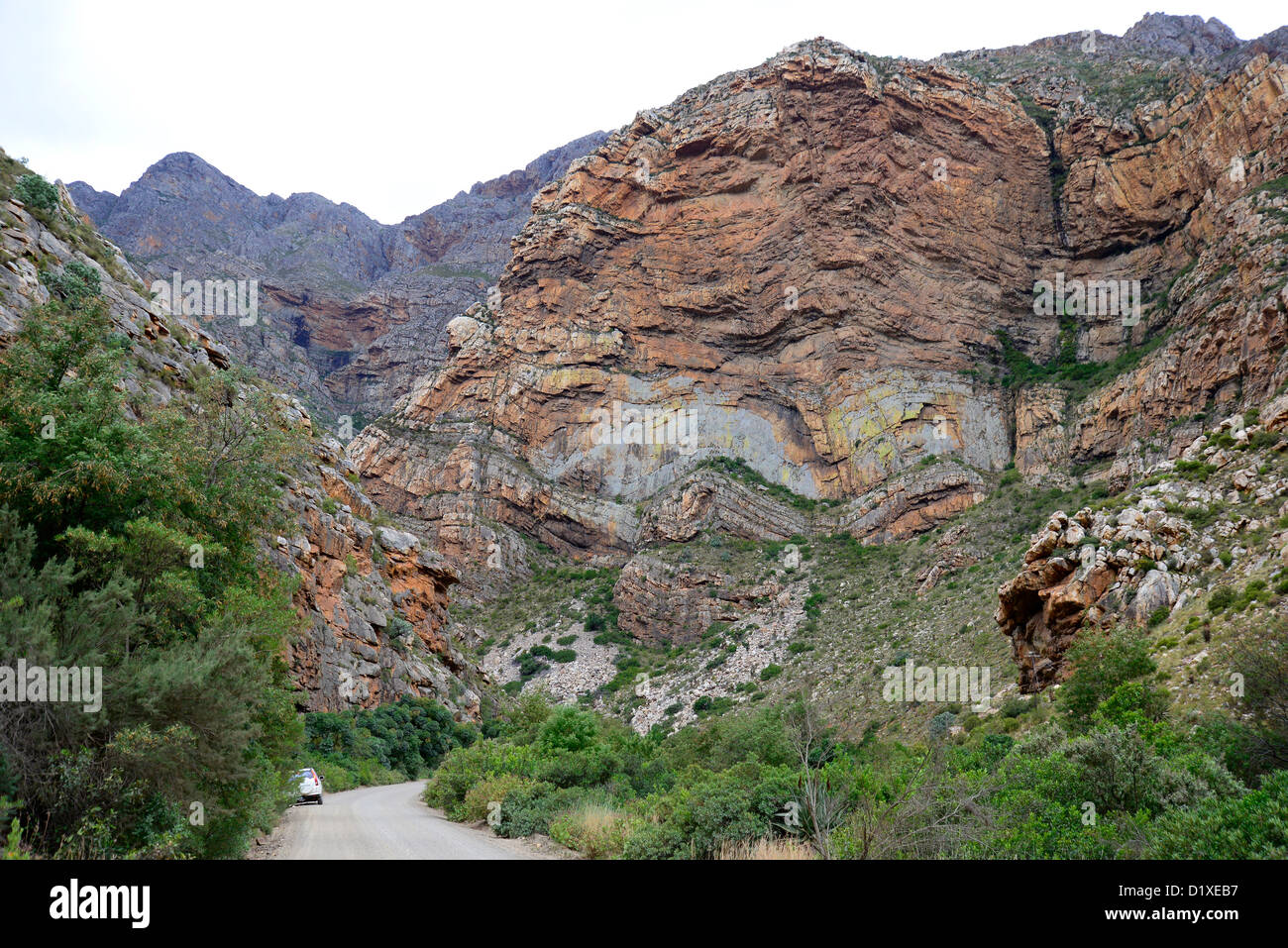 Examples Of Folded Mountains